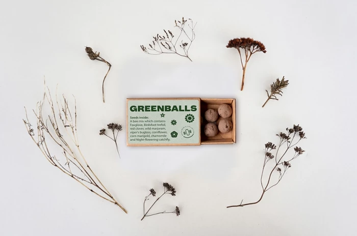 Greenballs mini-ecosystem