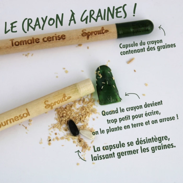 Crayon papier à graines à planter