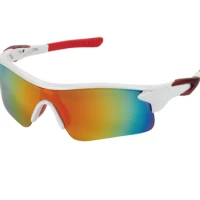 Lunettes de sport