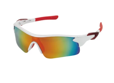 Lunettes de sport