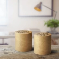 Duo enceintes en bois