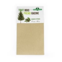 Sachet de graines exotiques en kraft