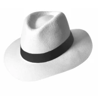 Chapeau Borsalino