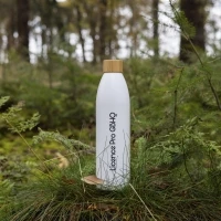 Bamboo and sugarcane bottle