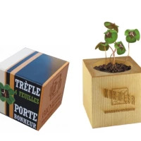 Pot cube en bois trèfle à 4 feuilles