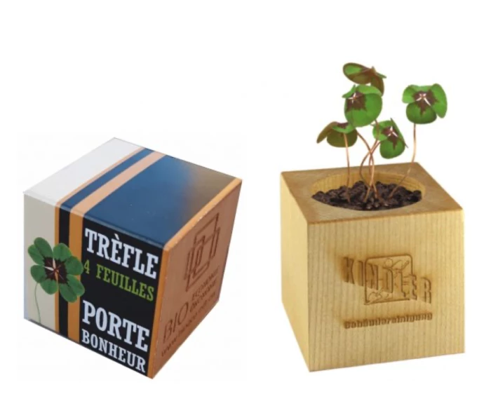 Pot cube en bois trèfle à 4 feuilles