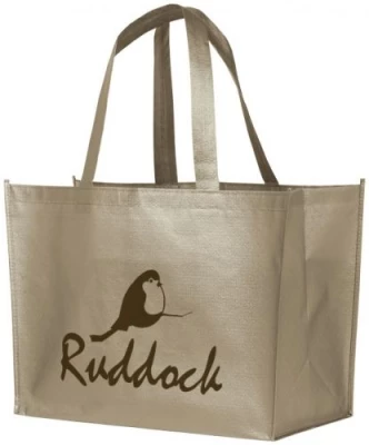 Sac non Tissé laminé44x30x20,5 cm