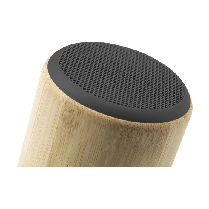 Bamboo speaker