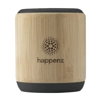 Bamboo speaker