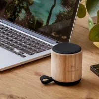 Bamboo speaker