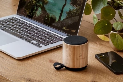 Bamboo speaker