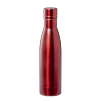 Bouteille double paroi 500 ml