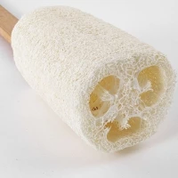 Brosse loofa