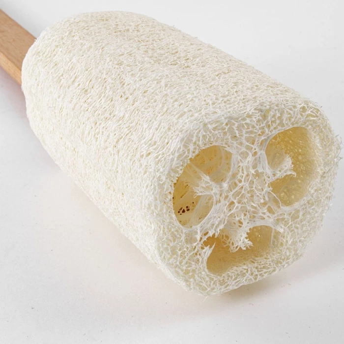 Brosse loofa