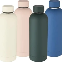 Vacuum insulation bottle 500ml