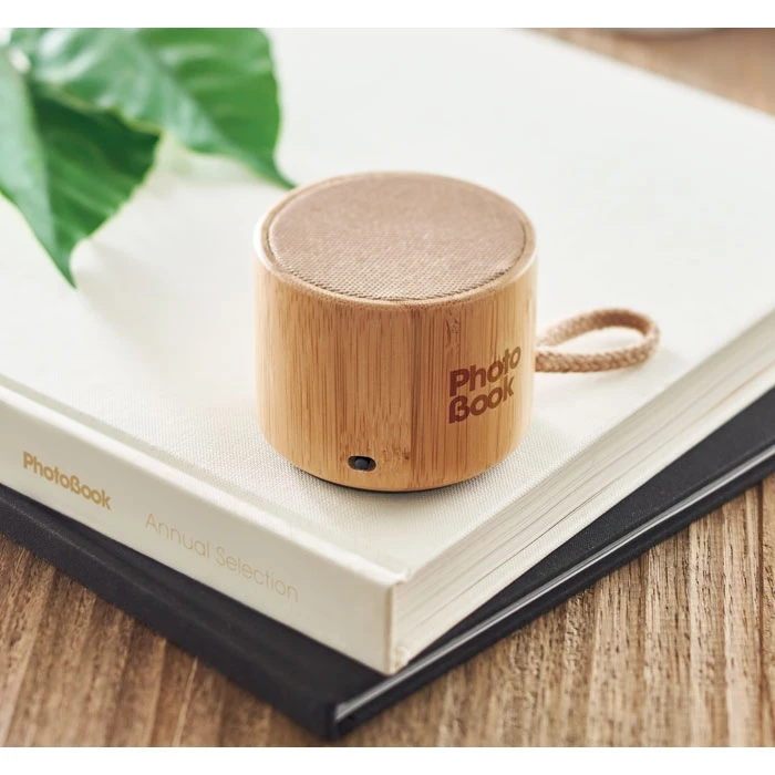 Enceinte bambou 3W