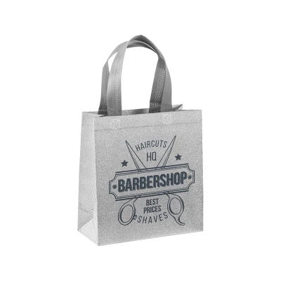 Petit sac laminé 25 x 23 x 10  cm