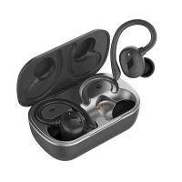 Blaupunkt earphones