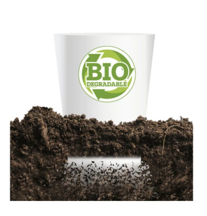 Verre biodégradable 