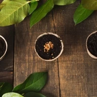 Les produits nature à base de graines, de la nouveauté dans votre communication !