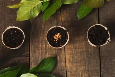 Les produits nature à base de graines, de la nouveauté dans votre communication !