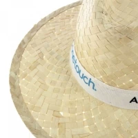 Chapeau style Panama