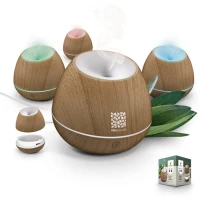 Essential oil diffuser