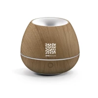 Essential oil diffuser