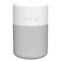 Combo écouteurs & enceinte 5W sans fil