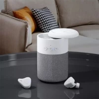 Combo écouteurs & enceinte 5W sans fil