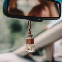 Car air freshener