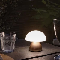 Recycled rechargeable usb table lamp