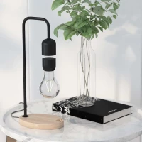 Lampe flottante