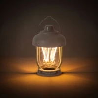 Rechargeable lamp