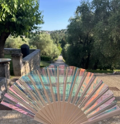 Eventails holographique