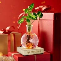 Light wood plate & plant