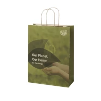 Sac boutique en dechets agricoles 31 x 41 x 12 cm