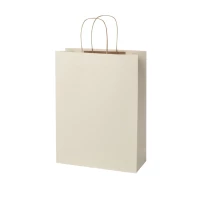Sac boutique en dechets agricoles 31 x 41 x 12 cm