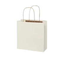Sac boutique en dechets agricoles 24 x 24 x 9 cm
