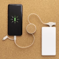 Cable retractable 6 en 1 liège & paille de blé