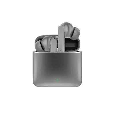 Wireless earphones