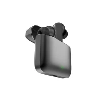 Wireless earphones
