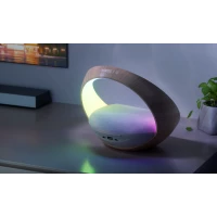 Induction charger alarm clock speaker