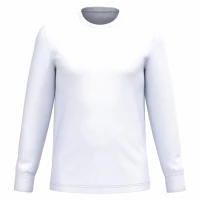 Organic cotton 180g long sleeves t-shirt