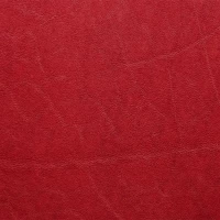 Rfdi blocking leather passport wallet