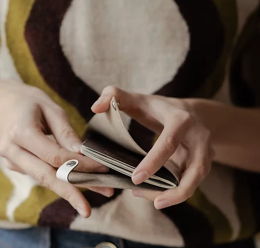 Etui passeport fab France