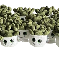 Screen cleaner plush