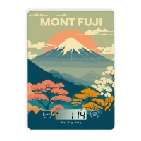 Balance cuisine électronique 