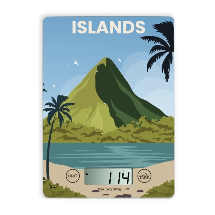 Balance cuisine électronique 