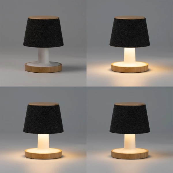 Recycled speaker usb lamp
